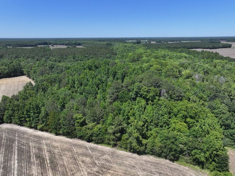 DJI_20260602143002_0077_D