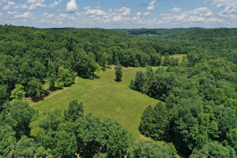 017 aerial drone shot from the southeast corner over the home looking north across the eastern most meadows