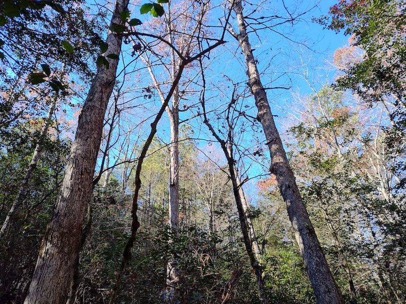 IMG_20251124_103609950_HDR