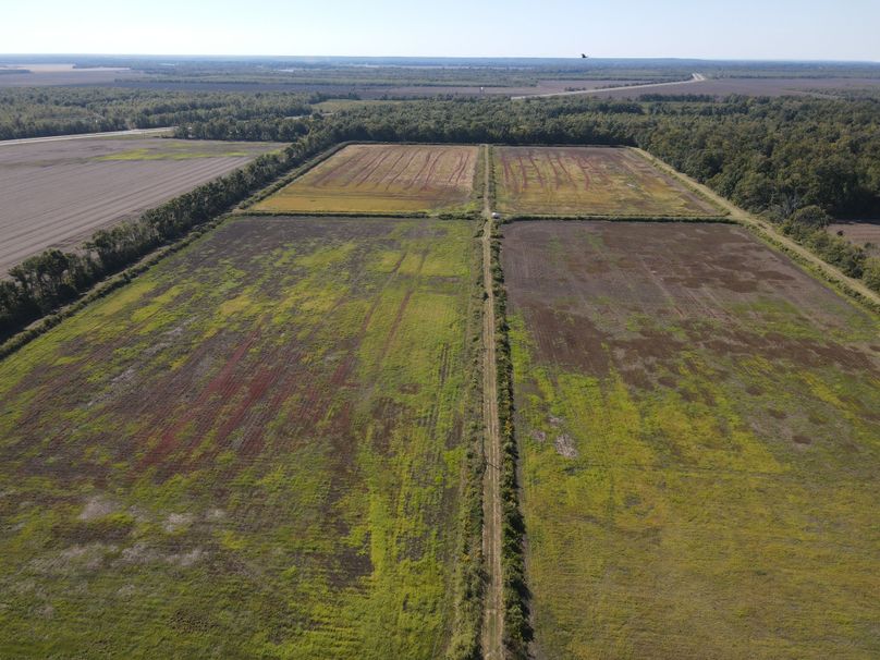 B51D3D8D-846A-4195-B39D-3CC4D8DA0B96