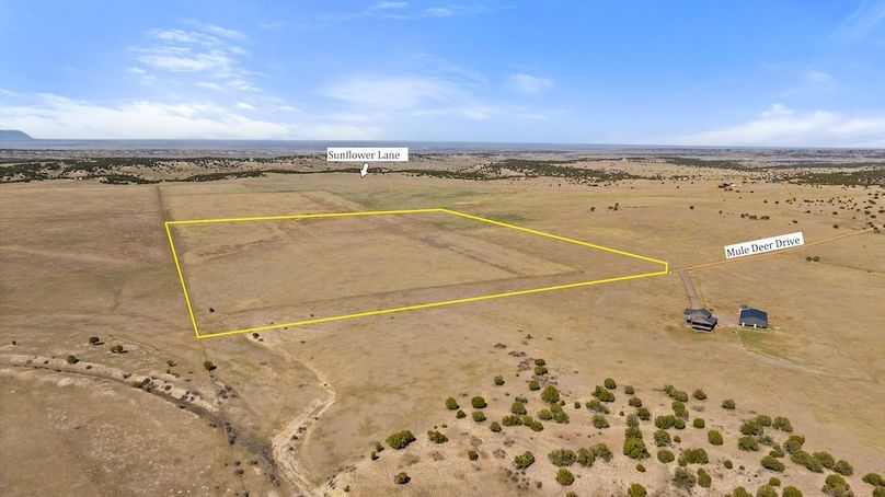 DJI_20250408163629_0013_D (1)