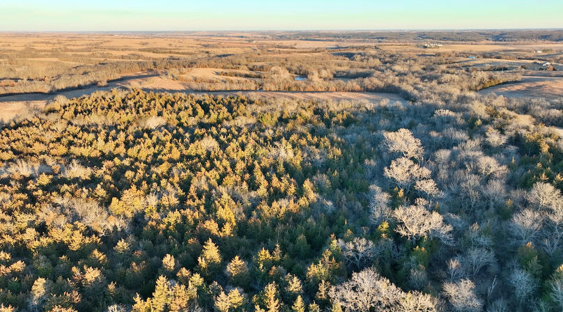 Screenshot 2026-01-06 at 8.14.17 PM