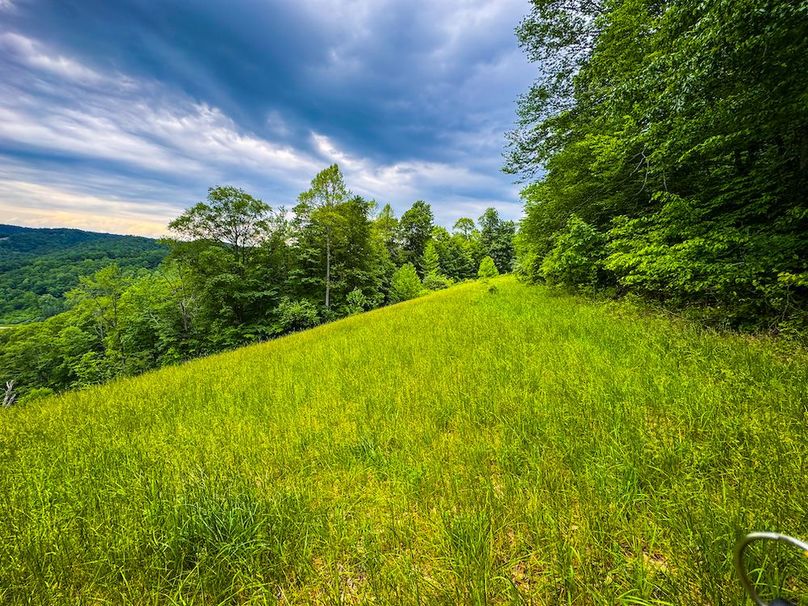 Tyler, WV 313.87 AC -54