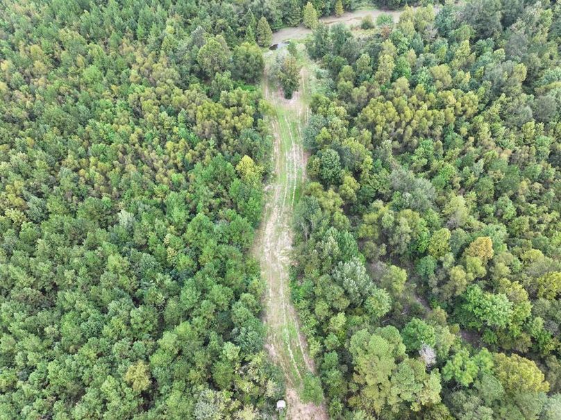 dji_fly_20250924_092404_0514_1758726293155_photo