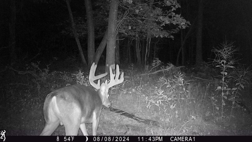 Sauk 174 Trailcam - 24
