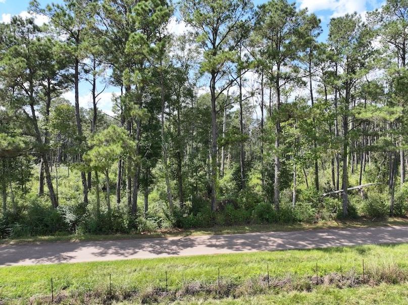 dji_fly_20250929_131252_0577_1759177332663_photo