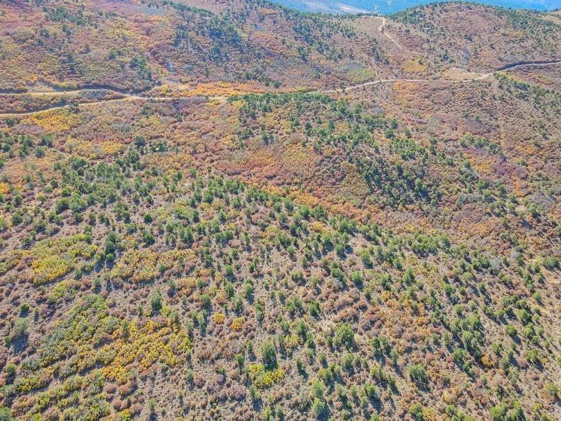 dji_fly_20241015_111502_711_1729012520301_photo