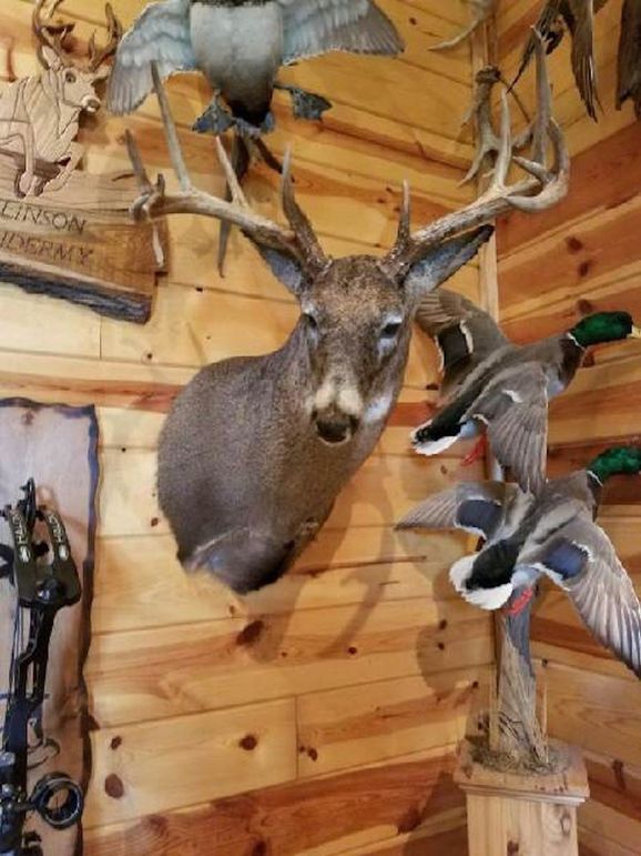 Sauk 174 Trailcam - 13