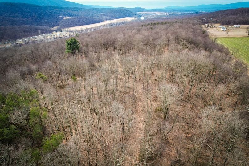 dji_fly_20260302_103548_522_1772467113116_photo