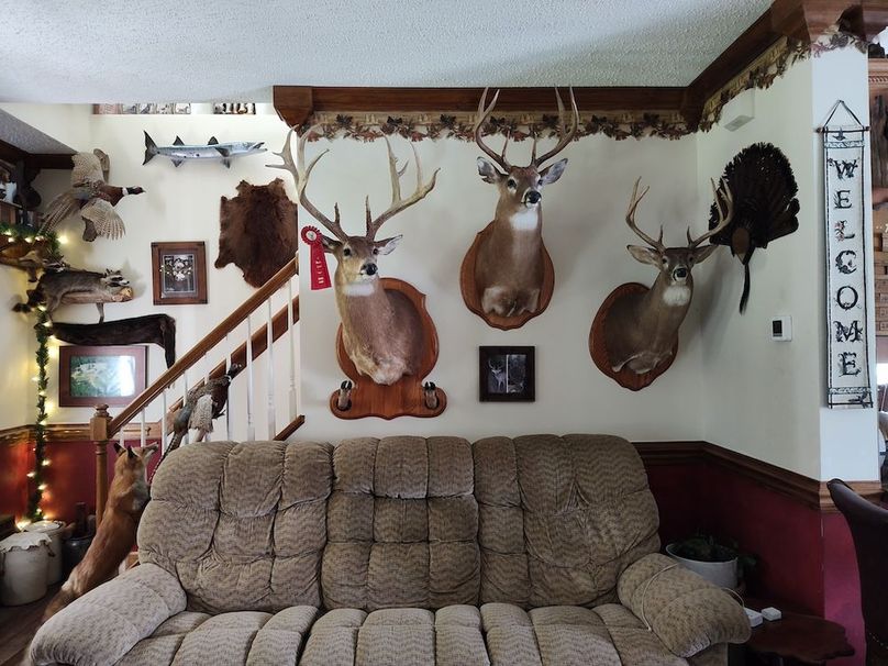 IMG_20250802_172723600