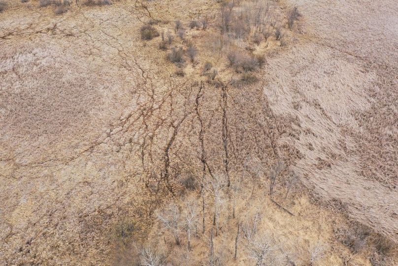DJI_0321