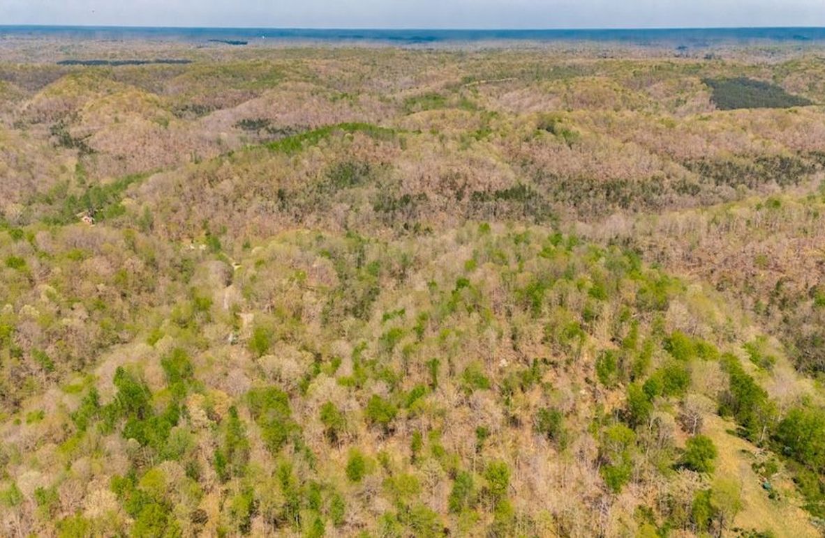 3-web-or-mls-0 Mound Creek Rd-99