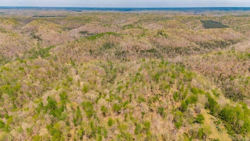 3-web-or-mls-0 Mound Creek Rd-99