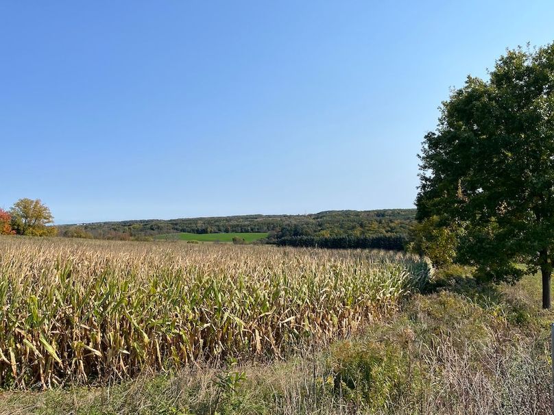 Yates_29_Stape Photo 15