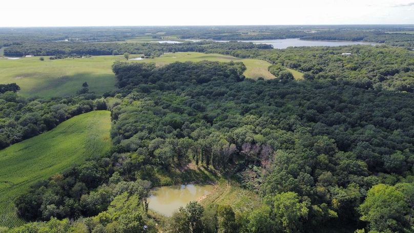 dji_fly_20240801_160820_964_1722546514276_photo_optimized