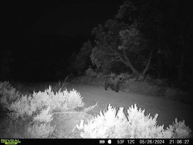 860516060102641-100-2-05262024210626-V-W1000110