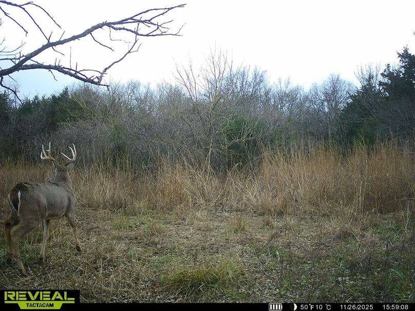 860322065515287-100-4-11272025042752-HD-SYEW1455