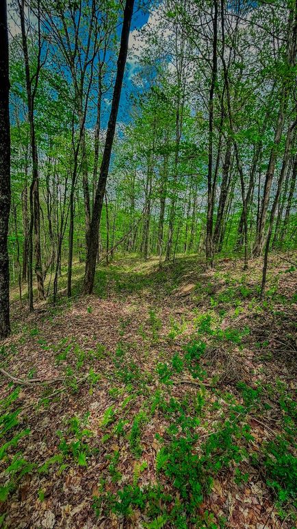 Doddridge, WV 64.69 AC Davis-18