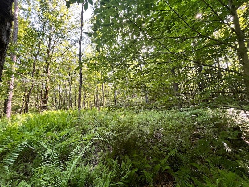 Jefferson_260.3_ Lobach_Photos_32