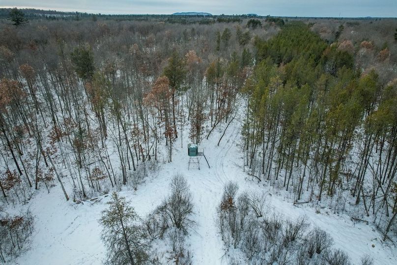 Adams 263.17, Hale -67