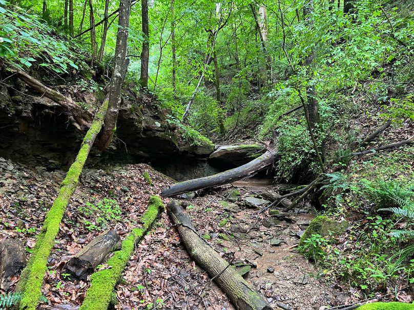 Wirt, WV 150.75 AC Tinnell-15