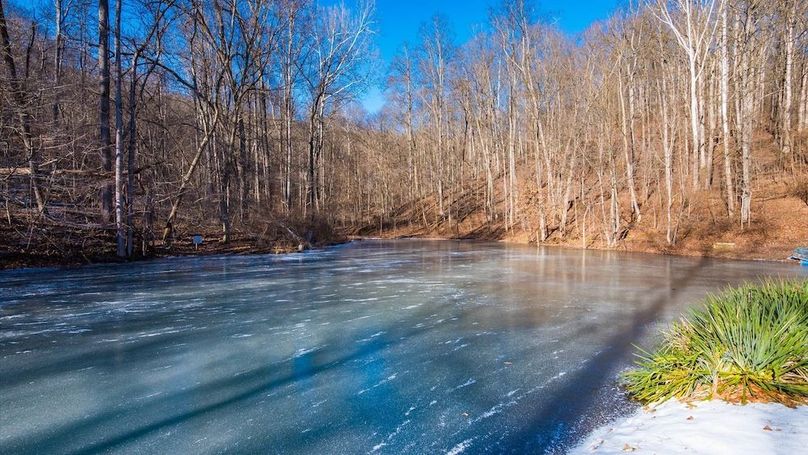 047-z 17250 Campbell008