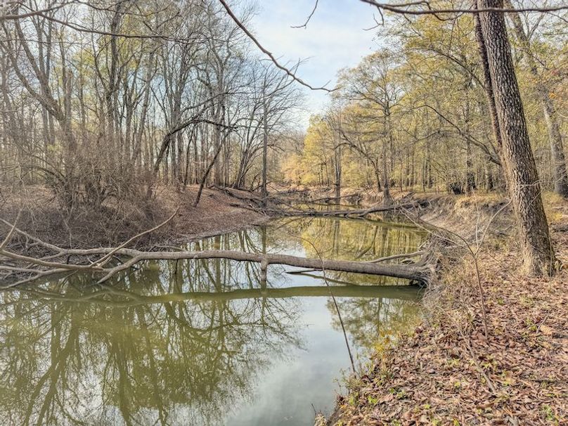 St. Francis 216.9 Calvin Parker Farms Profile -25