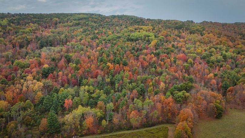 DJI_20251007162007_0651_D