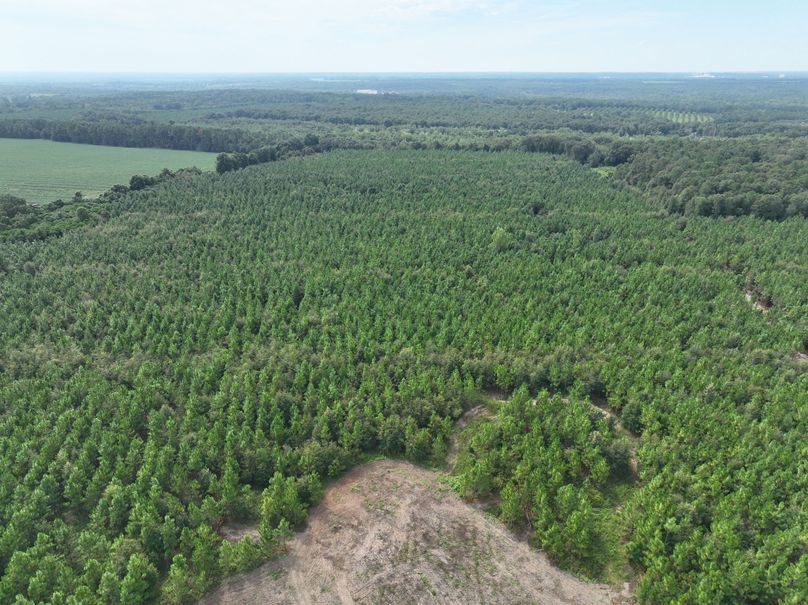 dji_fly_20230905_114400_638_1693928704758_photo