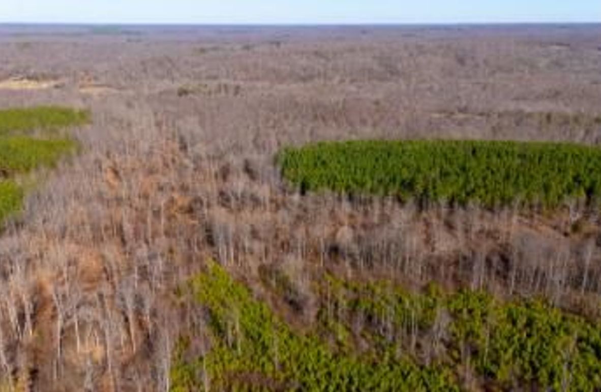 MCKINNON TRACT 18B-04