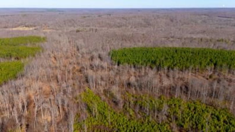 MCKINNON TRACT 18B-04