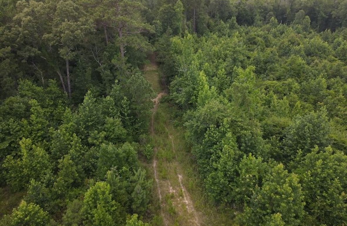 DJI_0569