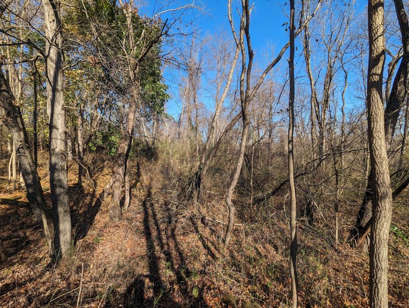 PXL_20231103_152324201