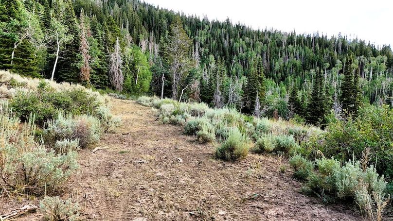 DJI_20250726173332_0121_D