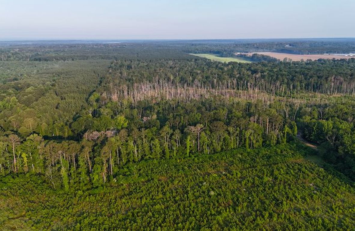 Copiah Co - 192 - Nutt-03