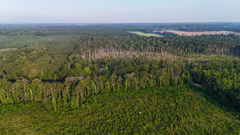 Copiah Co - 192 - Nutt-03