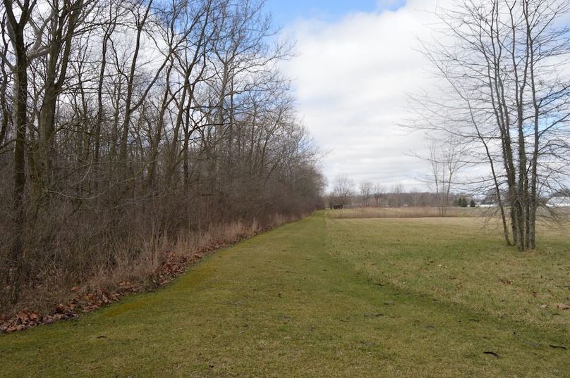 looking west toward cabin