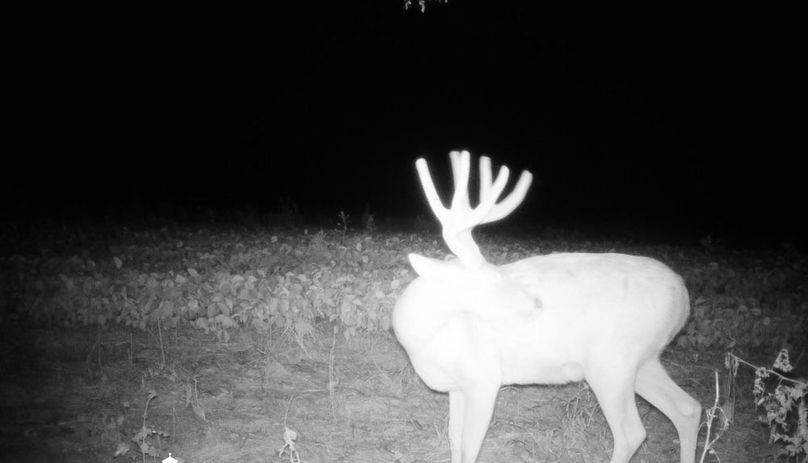 Copy of IMG_3213 Large