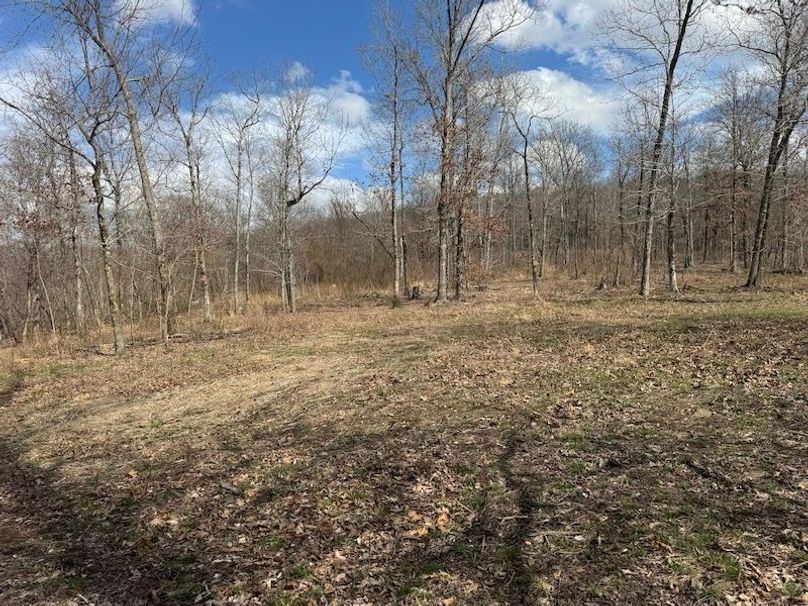 stone8020260306_0086