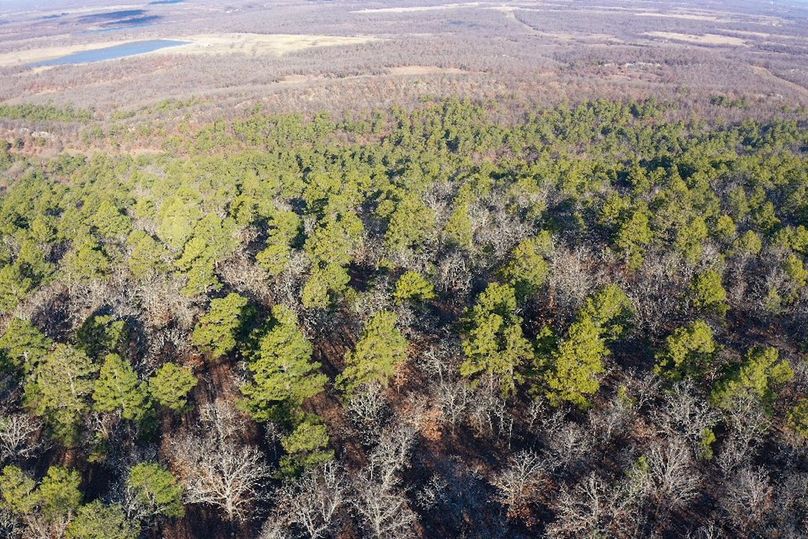 DJI_0070
