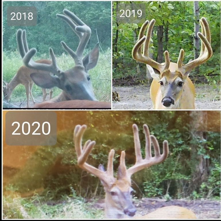 Screenshot_20240823_164404_Gallery