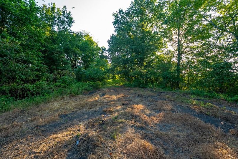 Copy of DSC06254 Large