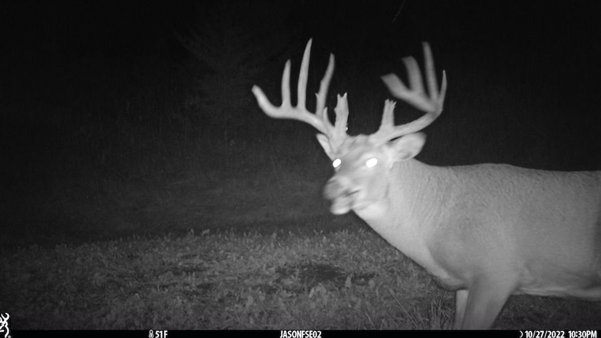 Buildable Farm With And Great Neighbors Whitetail Properties