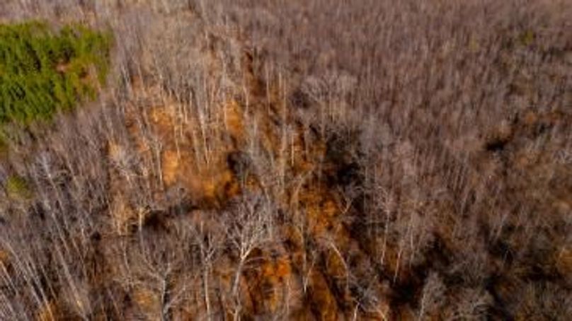 MCKINNON TRACT 18B-11