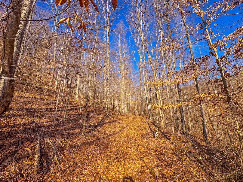 Lewis, WV 82.87 AC Barger-06