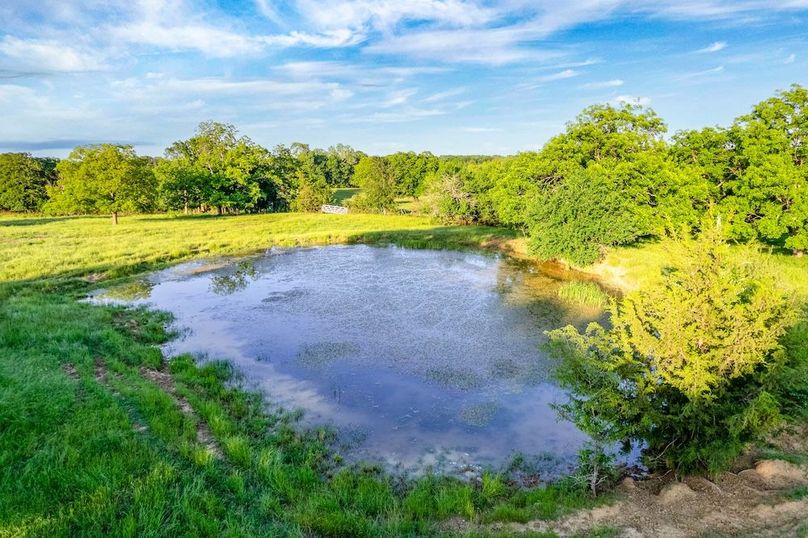 Fannin County- 134.4 acres-26