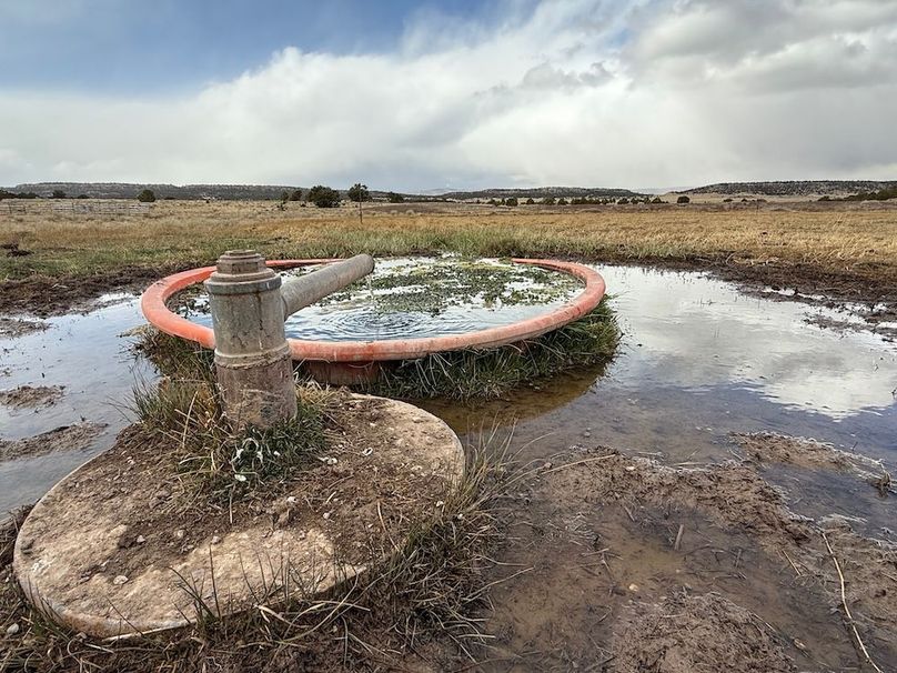 5_Pratt artesian well