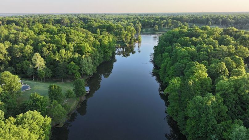 Desoto 8.3 Clement (Final Frontier) -2