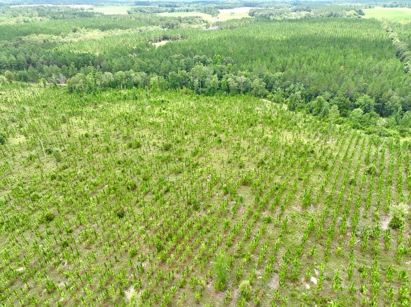 dji_fly_20240710_135122_540_1720634629357_photo