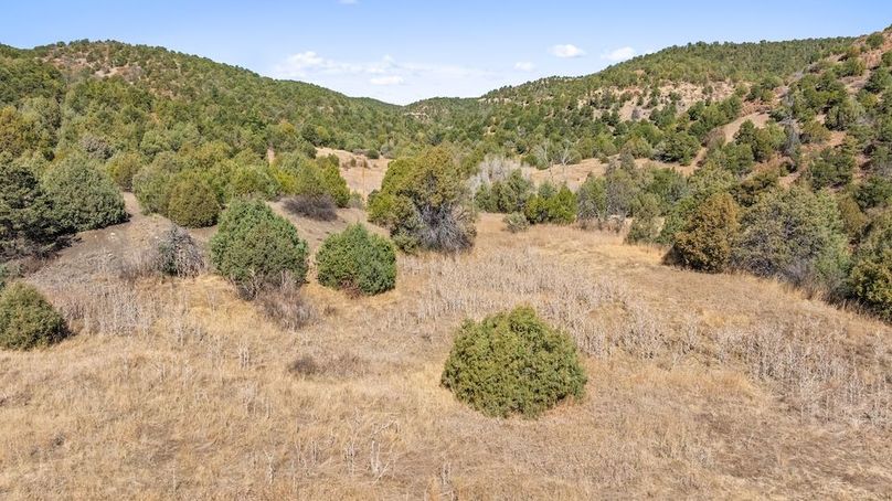 DJI_20260326121507_0468_D_1